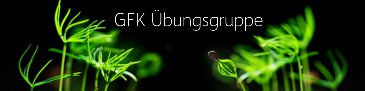 Gewaltfreie Kommunikation - GFK Übungsgruppe